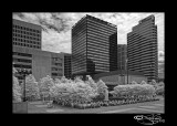 IR Nashville X