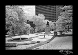 IR Nashville XI