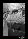 IR Nashville XLII