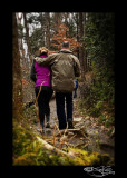 Walk Together