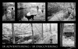 IR Discovering