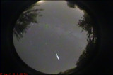 Perseid Meteor