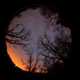 Circular Sunrise