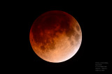 Total Lunar Eclipse (Totality)