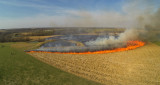 Controlled Burning at Jim Grace Farms
