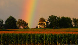 Rainbow over Corn Field