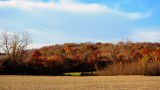 Fall Colors at Elam Bend