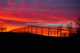 Fence Row Sunset