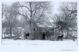 Winter Scene (Black & White)
