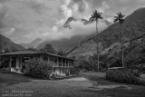 Valle de Cocora Quindio