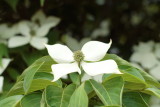 Spring 2013