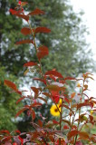 Sept 07
