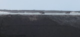 North Jetty 1.1.2017