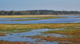 Engsen ved Gyldensteen strand, Nordfyn