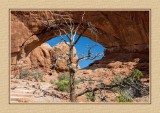 068 14 10 26 Arches NP