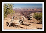 103 14 10 27 Canyonlands