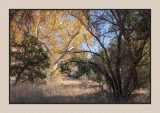 16 11 18 087 San Rafael Valley
