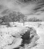 Frosty Ravine 