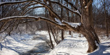 Franklin Creek Trailhead in February