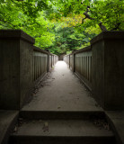 Footbridge in Late Summer 