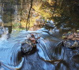 Autumn Reflected 