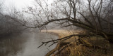 Fog at Prairie Park 