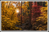 Autumn Morning In Oak Creek Canyon