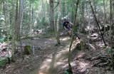 IMG_7928ps PF.jpg