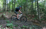 IMG_7932ps PF.jpg