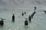 Plage de Saint Franois