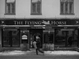 The Flying Horse    