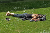 06-06-2010 : Nap under the sun / Sieste au soleil