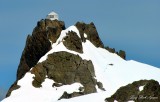 Three Fingers Hut, Three Fingers  Mountains, Glacier Peak, Cascade Mountains, Washington 