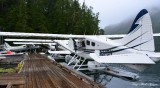 Beavers, Eagle Nook Resort, Jane Bay, Barkley Sound, Vancouver Island, Canada  