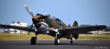 P-40C, Seafair 2013, Boeing Field, Seattle  