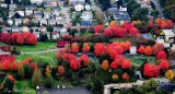 Mt Baker Park, Seattle, Washington 