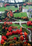 Mt Baker Park, Seattle, Washington 