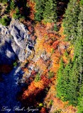 fall foliage over Cascade Mountains Washington 