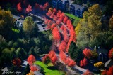 autumn in Inglemoor, Washington 