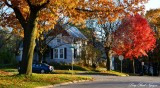 autumn on Church street, Iowa City, Iowa  