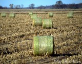 hay rolls Iowa 