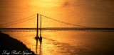 Tacoma Narrow Bridge ,Tacoma, Washington  