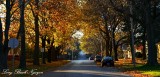 fall foliage, Iowa City, Iowa 