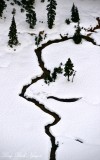 Olallie Creek, Olallie Meadow, Cascade Mountains, Washington  