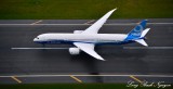 Boeing 787-9 Dreamliner, N789FT, Boeing Field, Seattle, Washington  