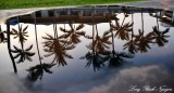 Fairmont Orchid Hotel Reflection, Big island, Hawaii  