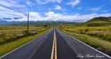 Saddle Road, Big Island, Hawaii 2014  
