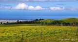 Ranch on Saddle Road, Waikoloa and Pacific Ocean, Big Island, Hawaii  