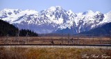 Twentymile River, Twentymile Glacier, Chugach Mountains, Alaska