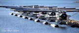 Beaver Floatplanes, BOPA, Dent Island Lodge, Canada  